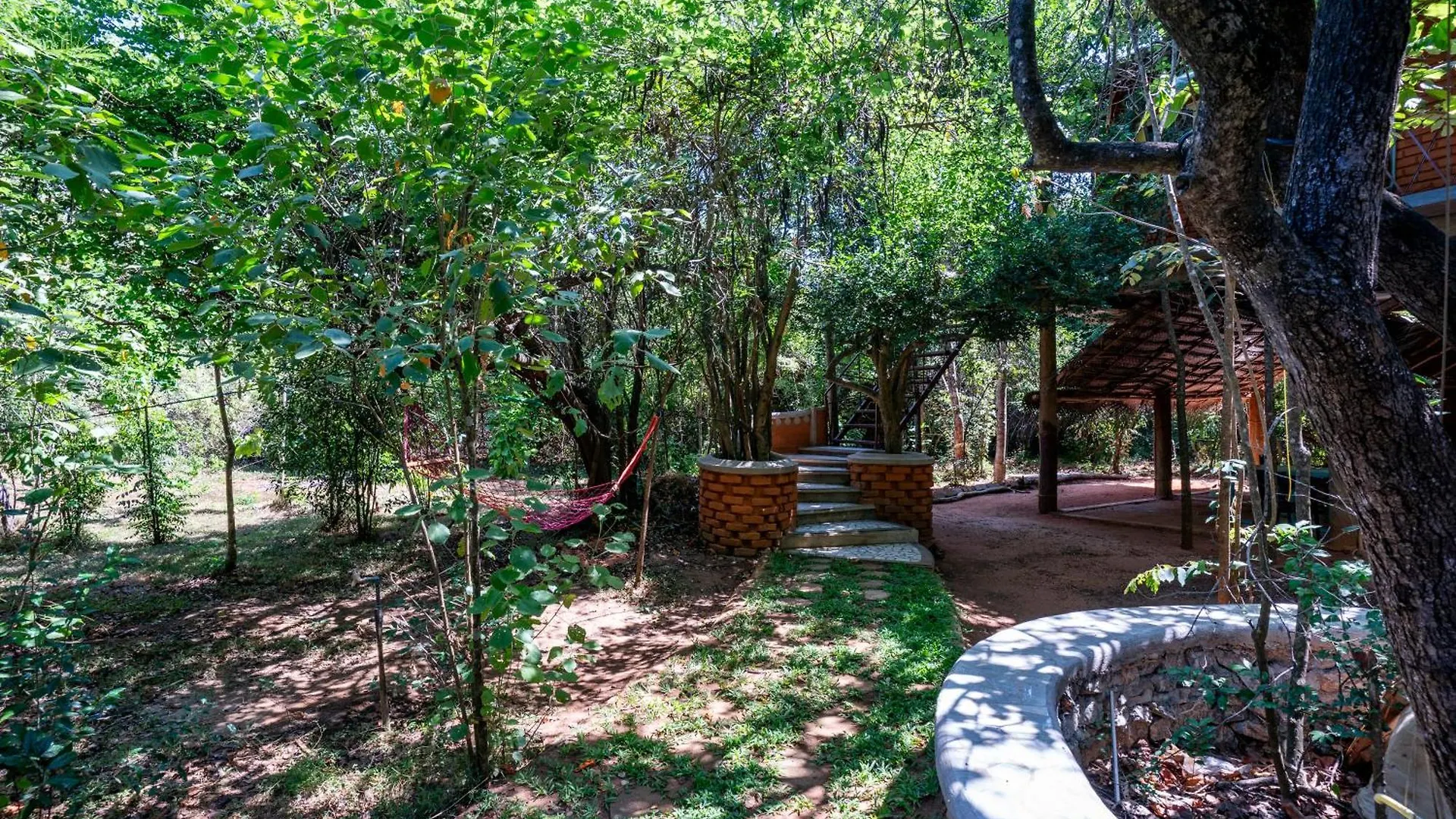 The Thick Forest Sigiriya Sri Lanka
