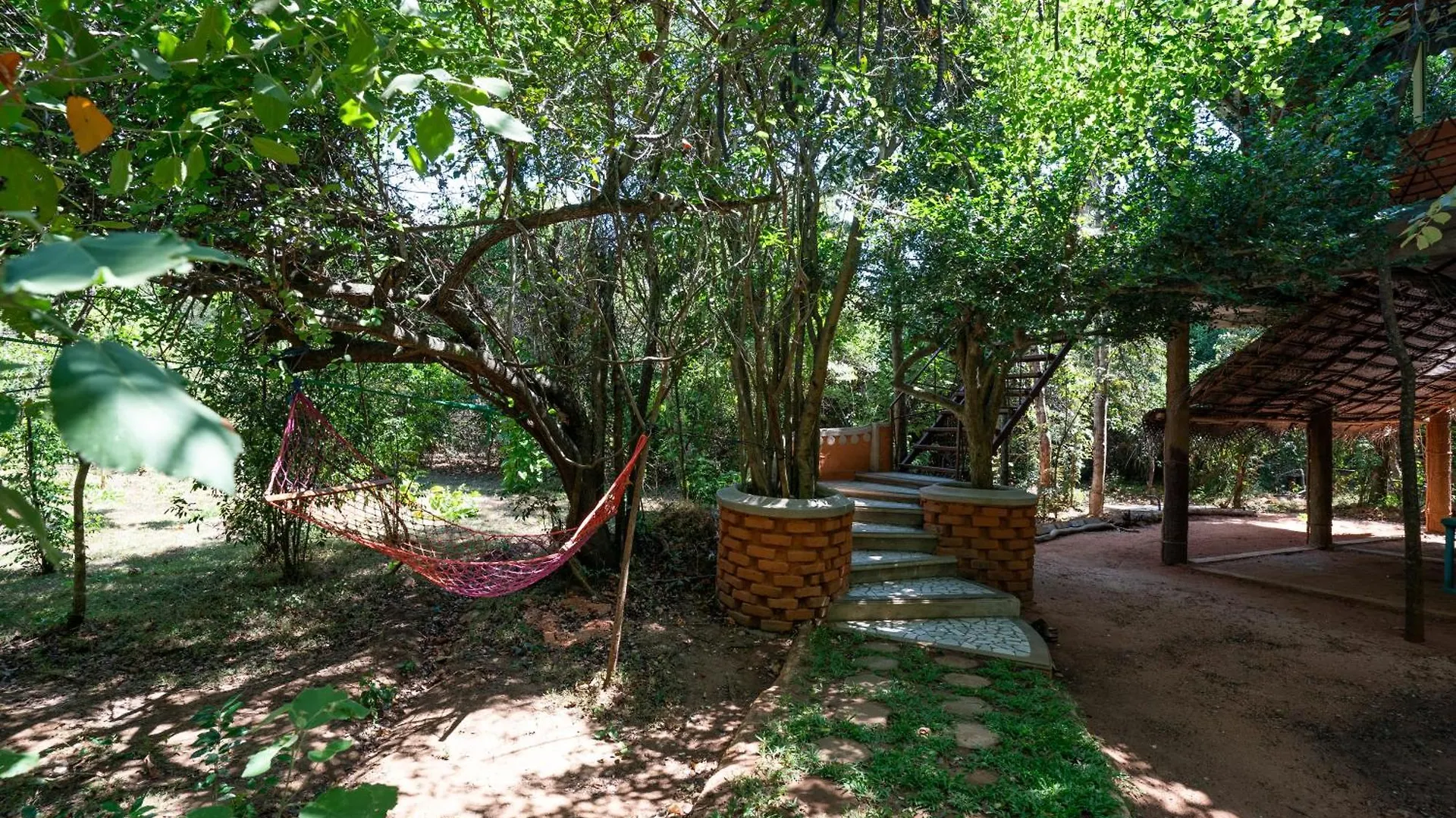 The Thick Forest Sigiriya