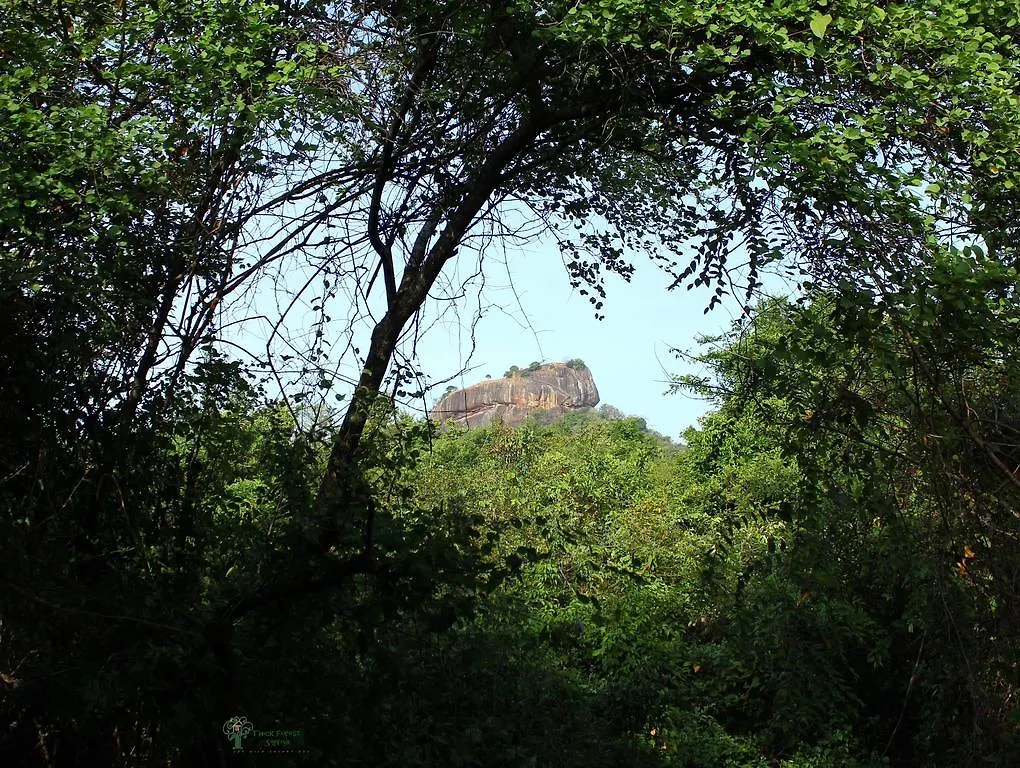 The Thick Forest Sigirîya Lodge