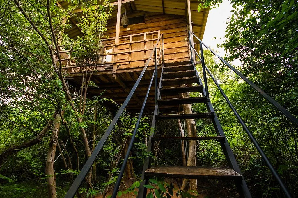 The Thick Forest Sigirîya Lodge