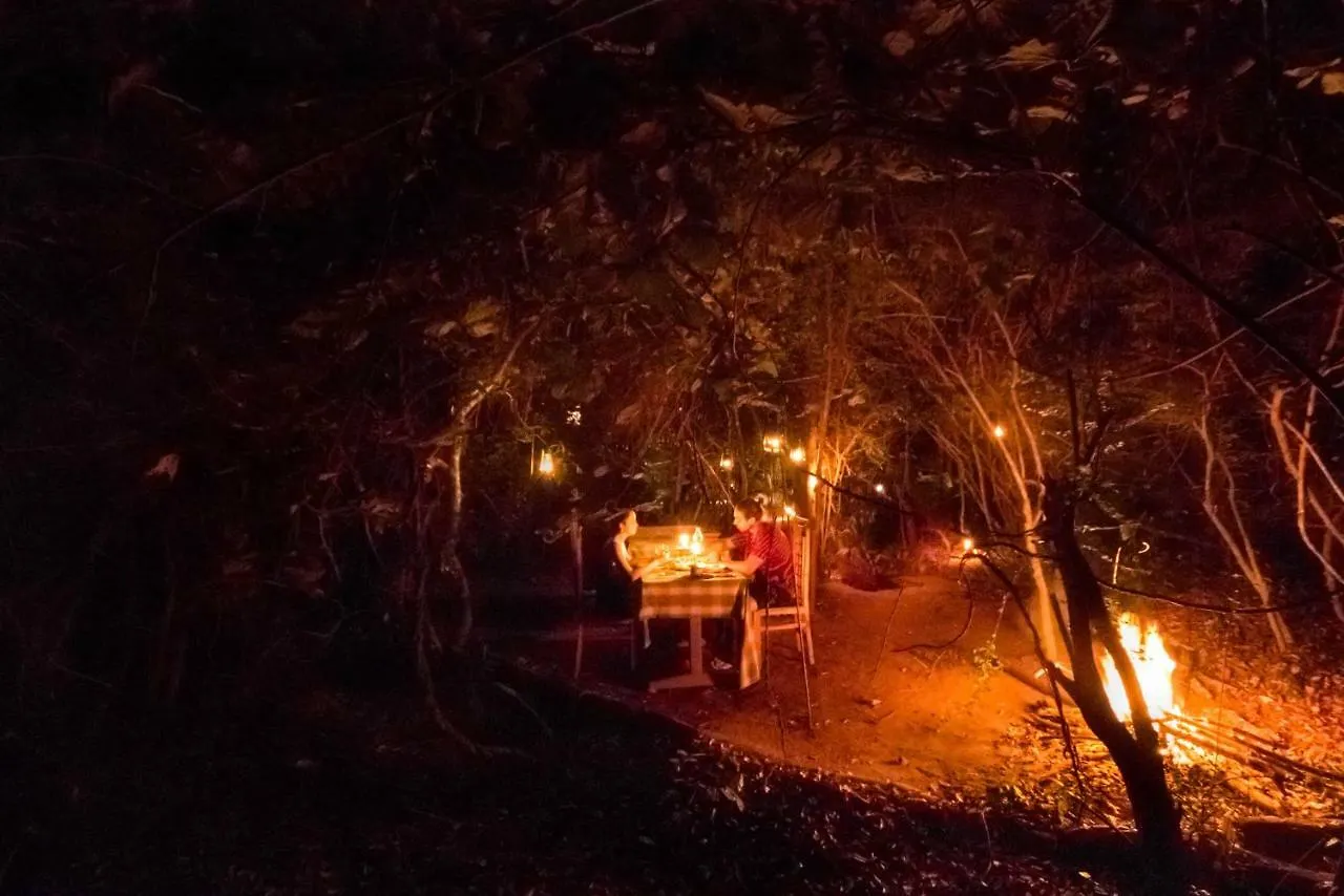 Lodge The Thick Forest Sigirîya